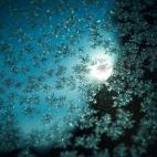 5c8ad8162300007f0123cf8e