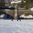 5c8ad816360000e01c6c2c2a