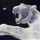 5c8ad81720000045046fda58