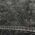 5c8ad818250000e203c9bfd7