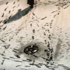 5c8ad8182000009e046fda5c