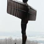 5c8ad8192300002f00e7470b