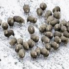 5c8ad81920000045046fda62