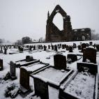 5c8ad81a3b000054066cad26