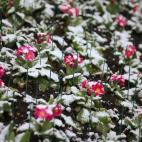 5c8ad81c360000a61b6c2c3c