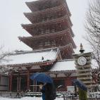 5c8ad81d2300003000e74713