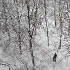 5c8ad8202400000a05a3ca81