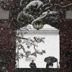 5c8ad82124000093024c8eaf