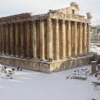 5c8ad8212500000d04c9bfe5