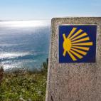 A&ntilde;o de inscripci&oacute;n: 1993 A&ntilde;o de extensi&oacute;n: 2015