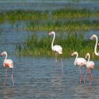 A&ntilde;o de inscripci&oacute;n: 1994A&ntilde;o de extensi&oacute;n: 2005