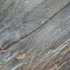 A&ntilde;o de inscripci&oacute;n: 1998A&ntilde;o de extensi&oacute;n: 2010