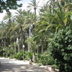 A&ntilde;o de inscripci&oacute;n: 2000