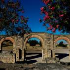 Año de inscripción: 2018