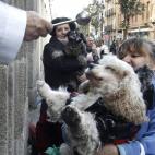 5c8ad84c2500000704c9c01b