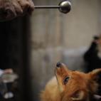 5c8ad84e3b000054066cad71