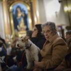 5c8ad84f2000009d036fdaac