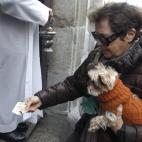 5c8ad8502300005400e74749