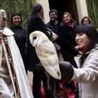 5c8ad851250000e203c9c023