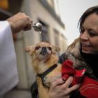 5c8ad852250000e203c9c025