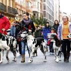 5c8ad8532400000a05a3cad9