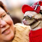 5c8ad853220000300019fb6e