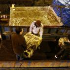 5c8a83313b000037066c0ff8