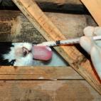 5c8a83313b000072066c0ffa