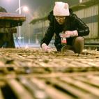 5c8a83322300007f01233022