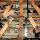 5c8a83322000009d036f3d10