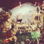 5c8ad6052500001304c9bc99