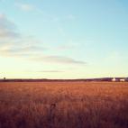 5c8ad60b20000043046fd70a