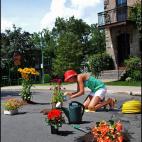 5c8aa4a525000058068174d8