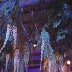 5c8a3d1a250000520680e268