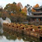 En este pueblo parece que el tiempo se haya detenido. Caminando por cada una de sus calles podrás observar las numerosas tiendas de colores de los Naxi (así es como se llaman a sus habitantes). Ver más fotos de Lijiang