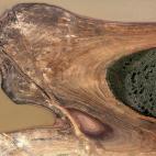 Noviembre de 2014. Imagen a&eacute;rea de la reserva de Cantareira, en Sao Paulo.