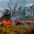 Imagen de los fuegos en la Amazonia, Brasil.