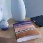 Acabo de terminar Galatea, de Melisa Tuya. Una apasionante novela de ciencia ficción que nos lleva a un futuro extremófilo donde los androides sueñan por una mujer que dejó de soñar. - Vanesa Rodríguez, Redactora Jefe