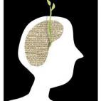 5c8a42f82400006b054ba021