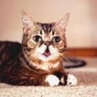 5c8ad9e9220000300019fdb2