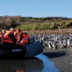 5c8ad9f0220000310019fdc0