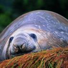 5c8ad9f02400006b054c91a3