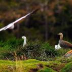 5c8ad9f12400006c05a3cd6b