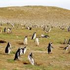 5c8ad9f12400006c05a3cd6f