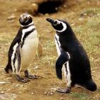 5c8ad9f220000043046fdd5e