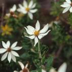 5c8ad9f2230000040123d284