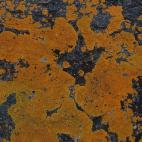 5c8ad9f2220000330019fdc3