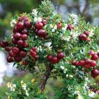 5c8ad9f32000009e046fdd61