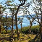 5c8ad9f53b000070066cafea