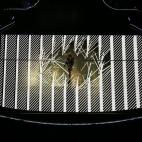 5c8ada3d2300007f0123d300